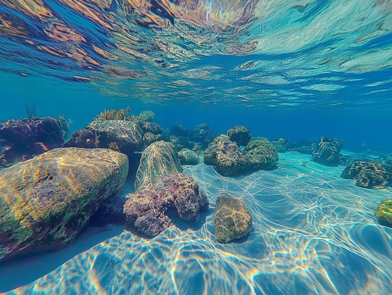 Photo sous-marine - Rock Islands